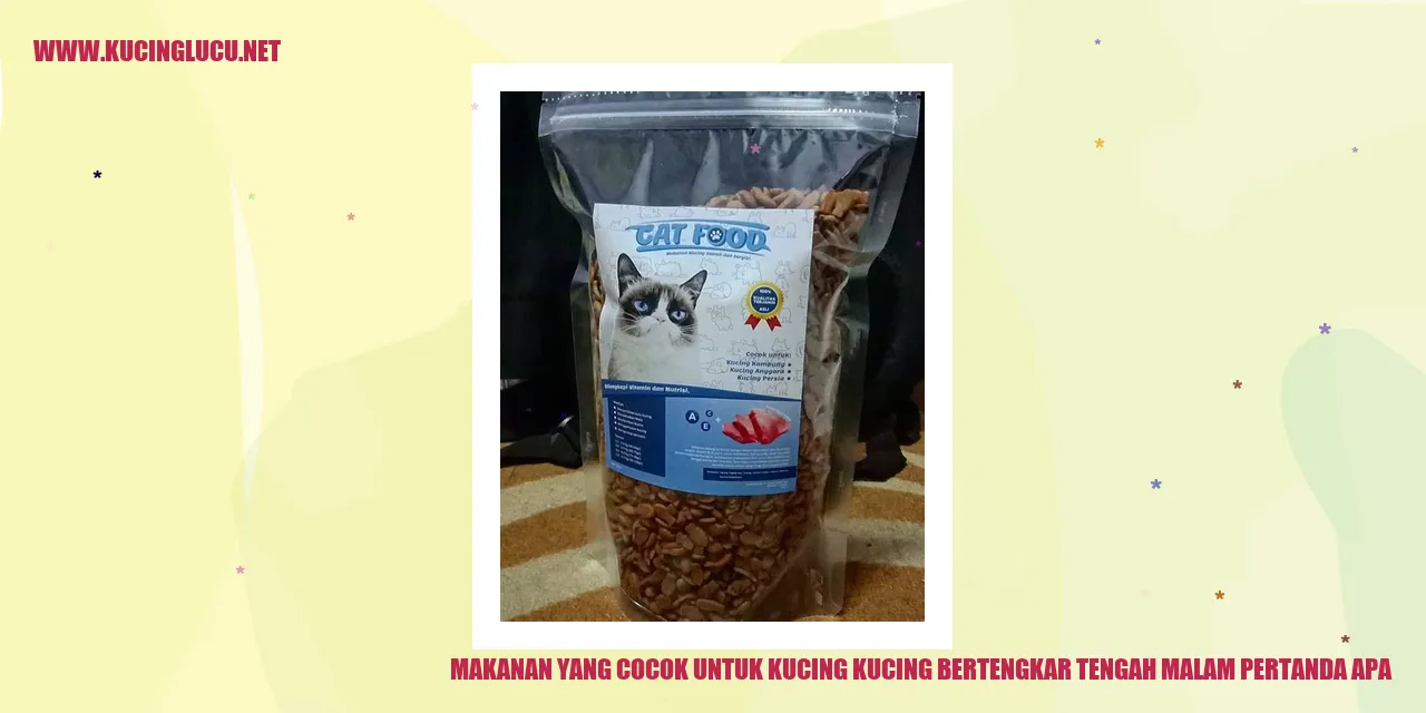 Gambar Kucing Bertengkar Tengah Malam