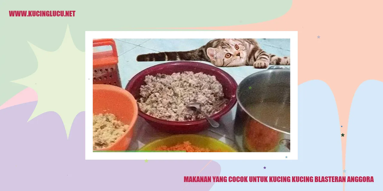Kucing Campuran Anggora