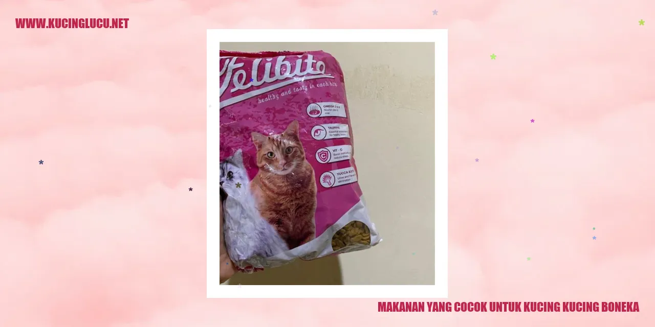 Kucing Boneka