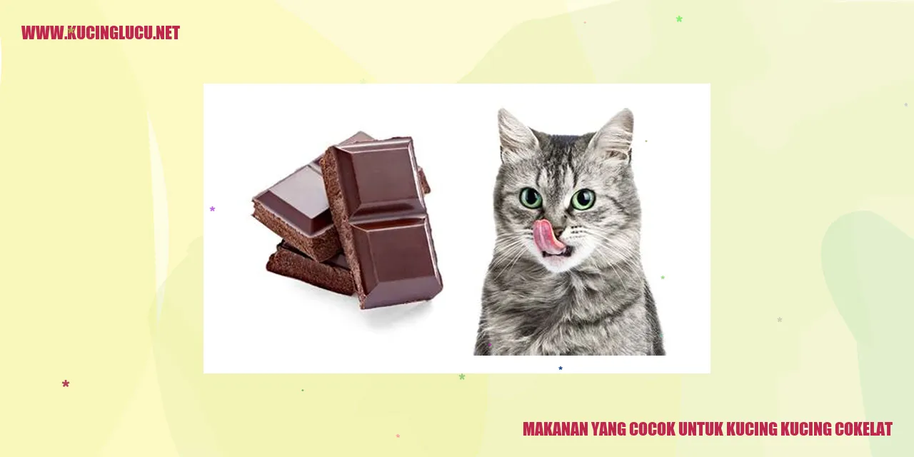 Makanan yang Cocok untuk Kucing Cokelat