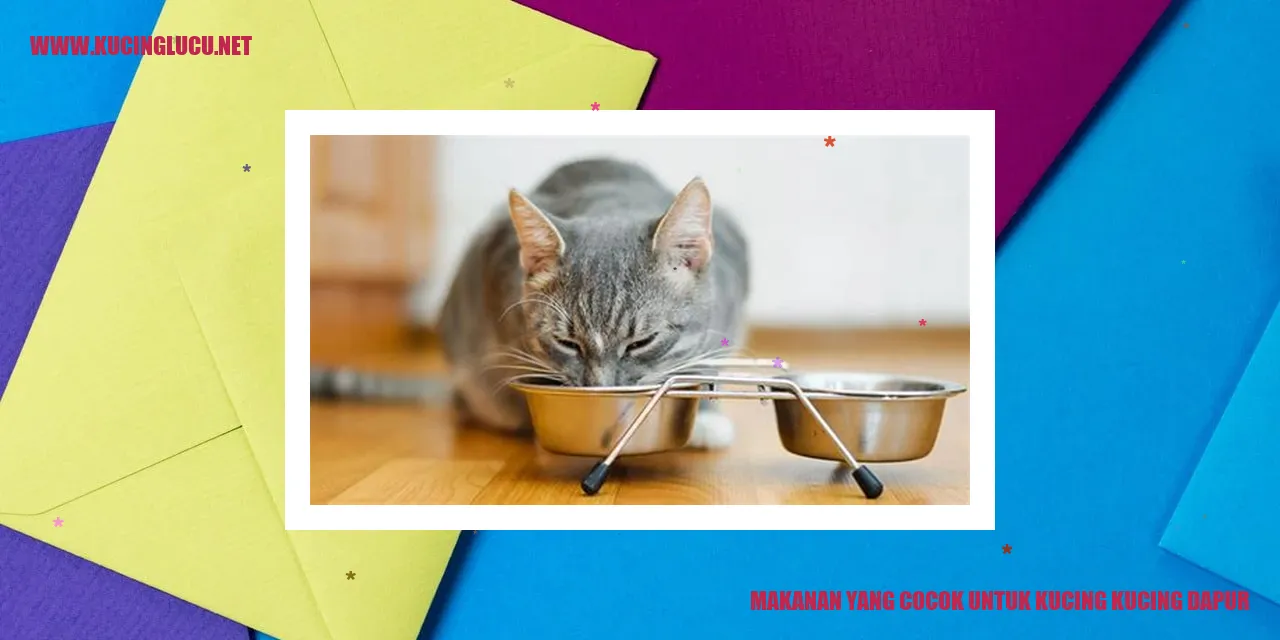 Makanan yang Cocok untuk Kucing Kucing Dapur