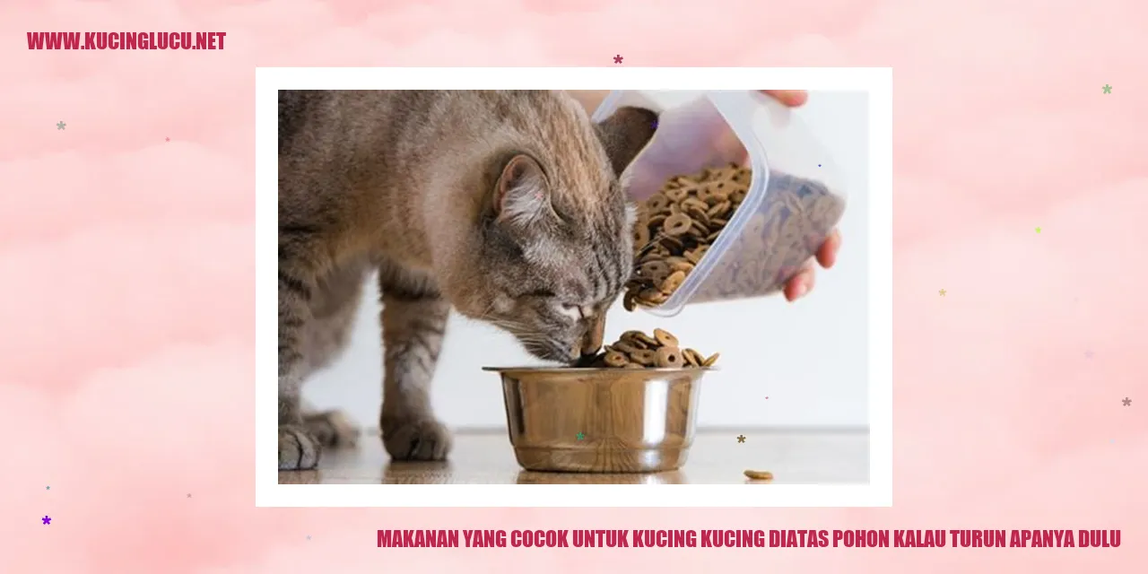 Makanan untuk Kucing di Atas Pohon