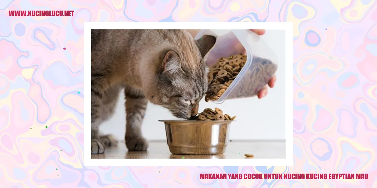 Makanan yang Cocok untuk Kucing Egyptian Mau