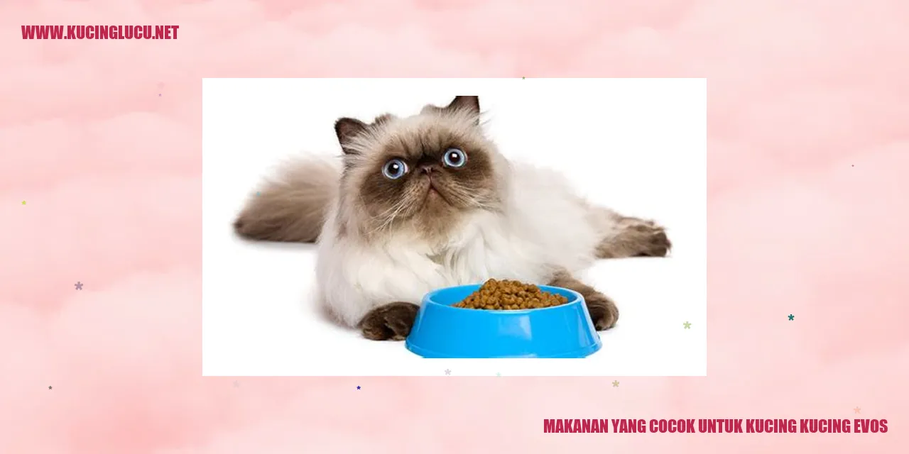 Makanan yang Sesuai untuk Kucing-kucing Evos