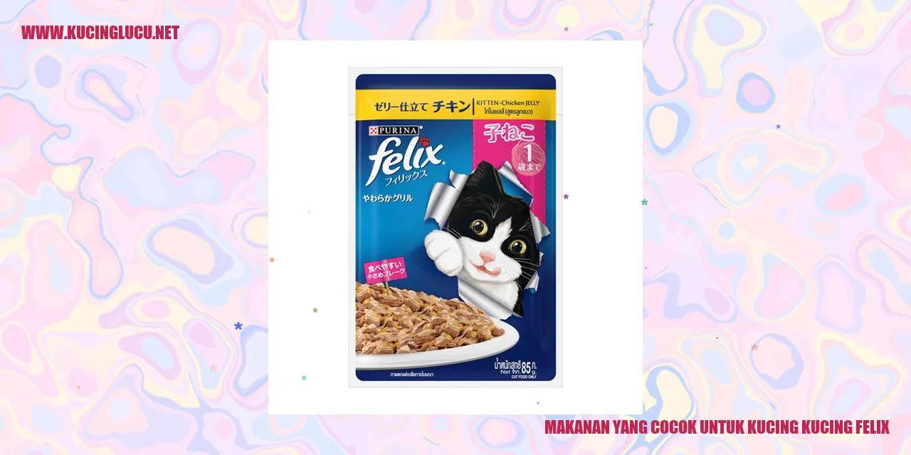 Kucing Felix