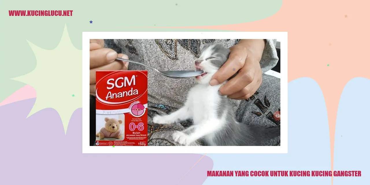Makanan yang Sesuai untuk Kucing-kucing Bertipe Gangster