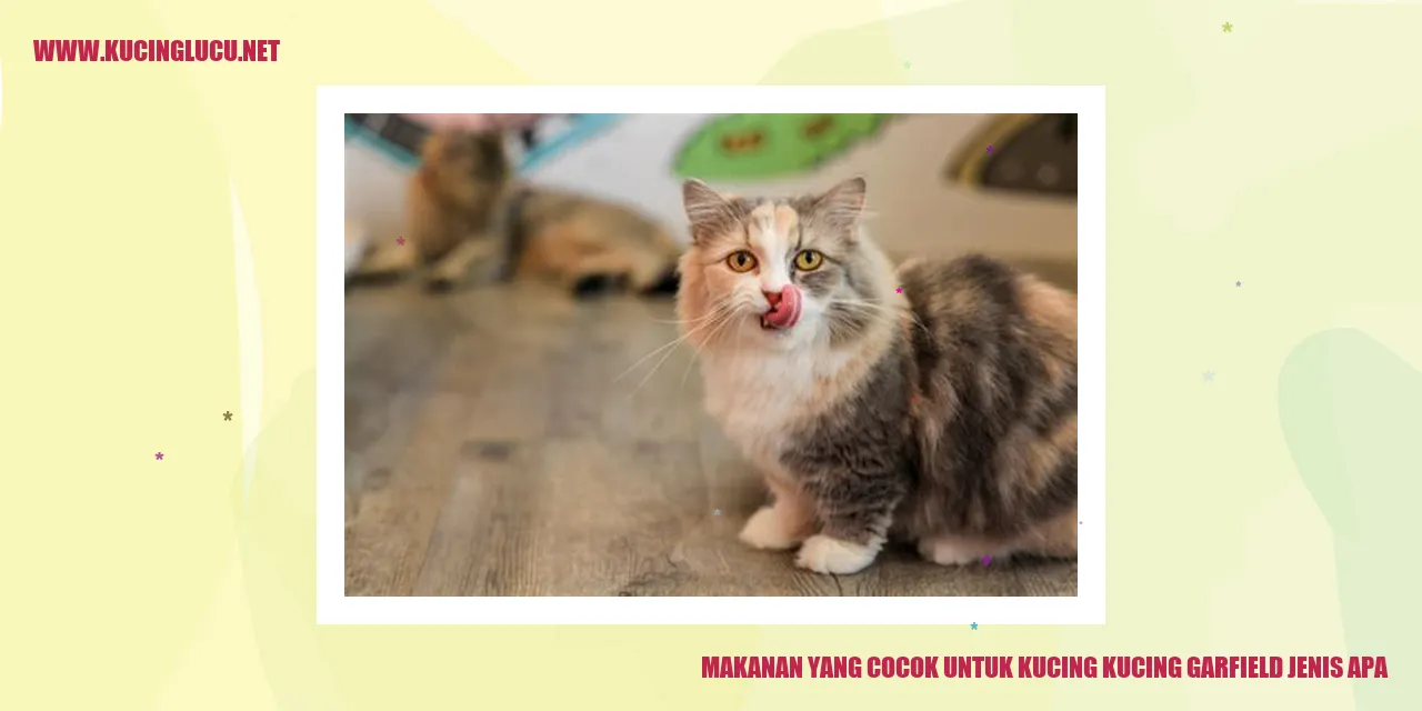 Jenis Makanan Kucing Garfield yang Tepat