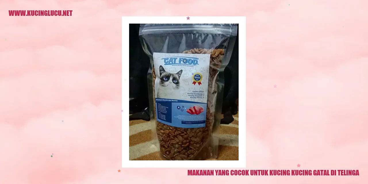 Makanan yang Cocok untuk Kucing kucing gatal di telinga