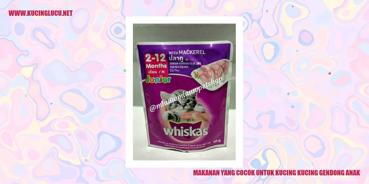 Makanan untuk kucing