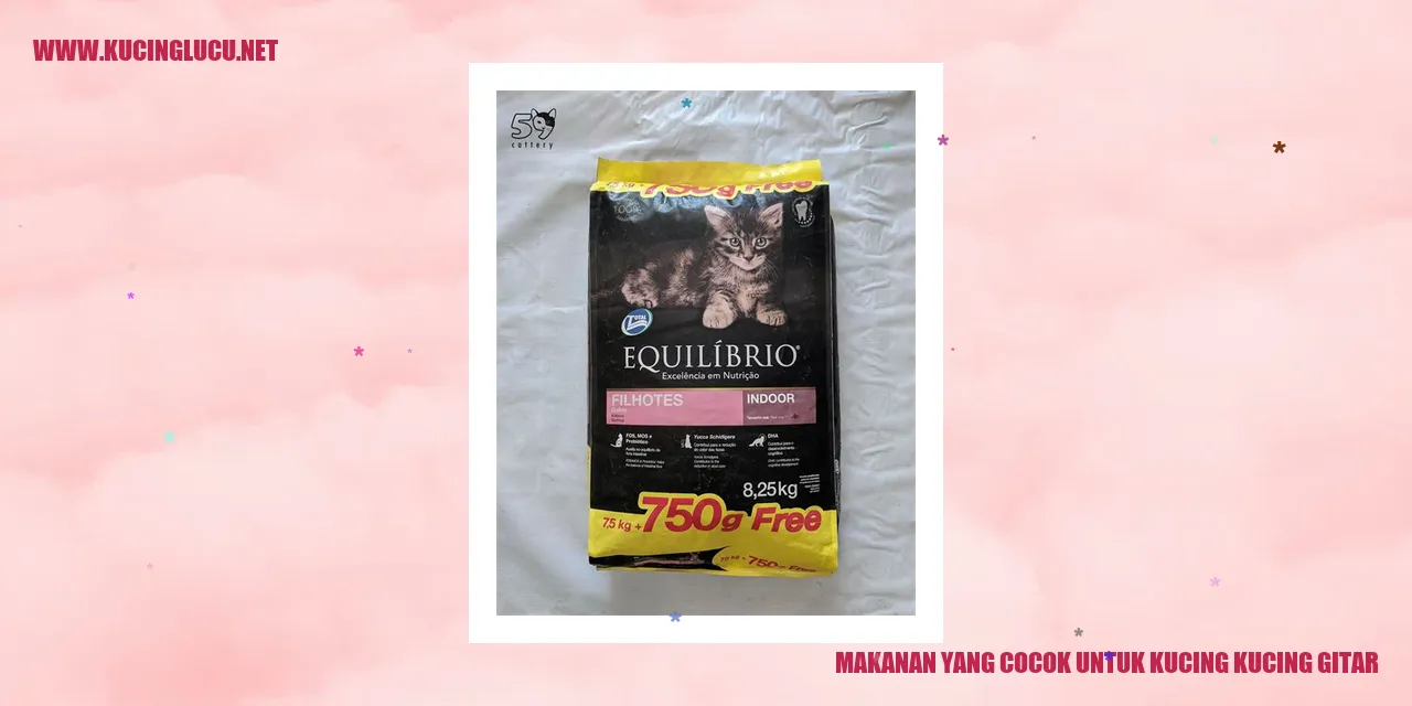 gambar kucing makan