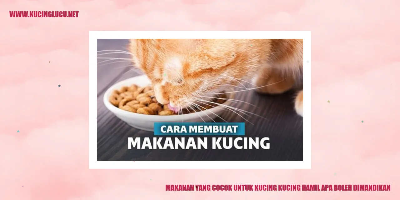 Kucing hamil