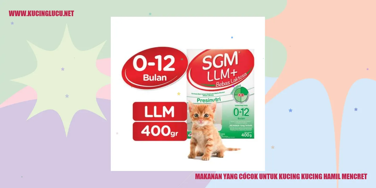 Makanan yang Tepat untuk Kucing Hamil yang Mengalami Masalah Pencernaan
