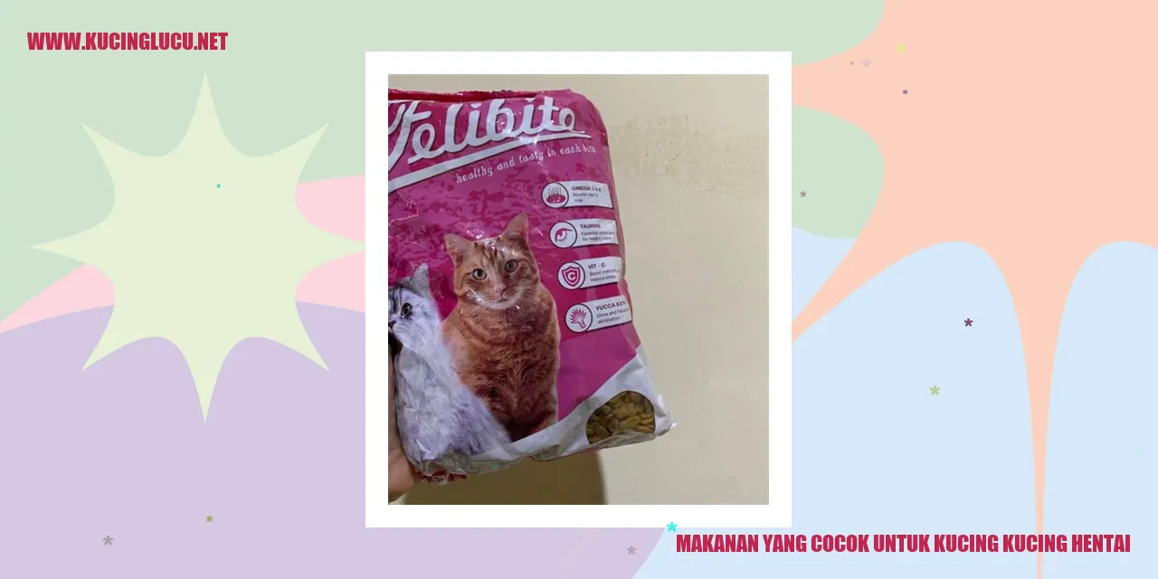 Kucing makanan
