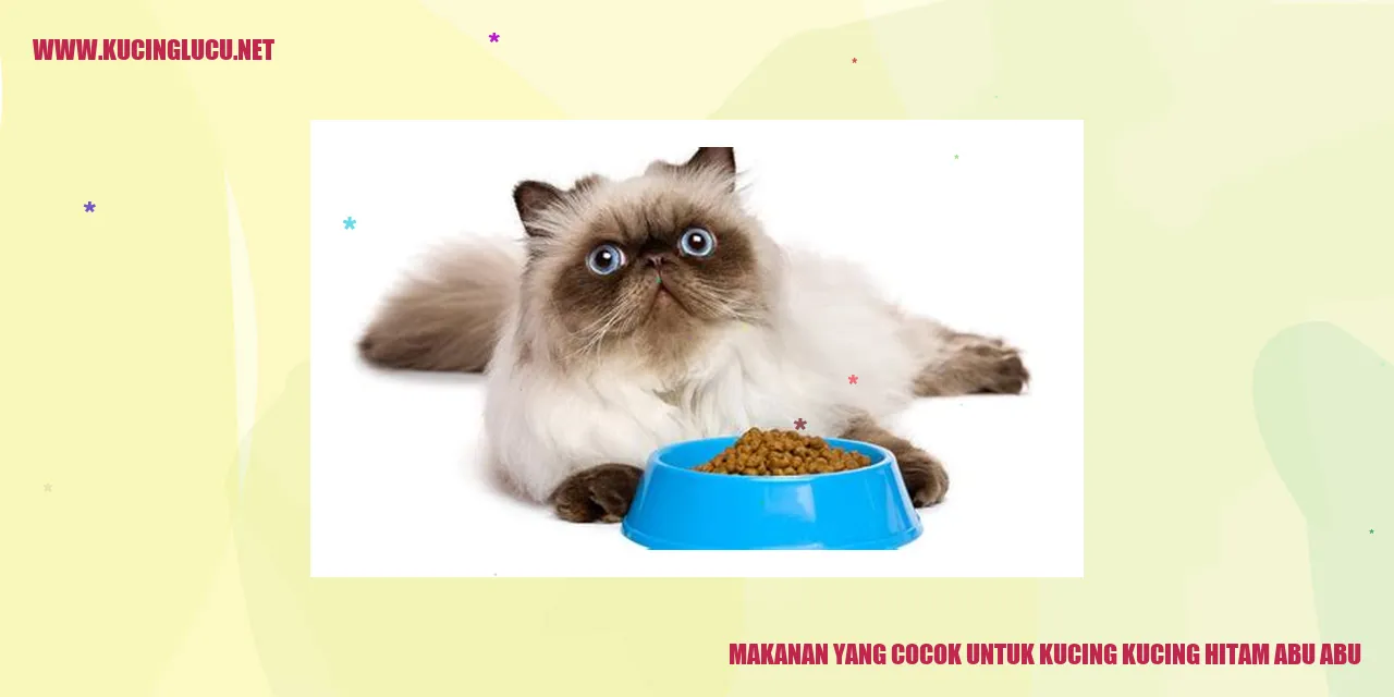 gambar kucing hitam abu-abu