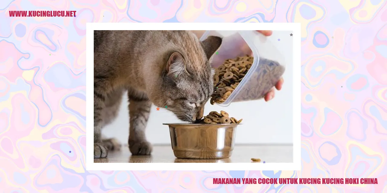 Makanan yang Cocok untuk Kucing Kucing Hoki China