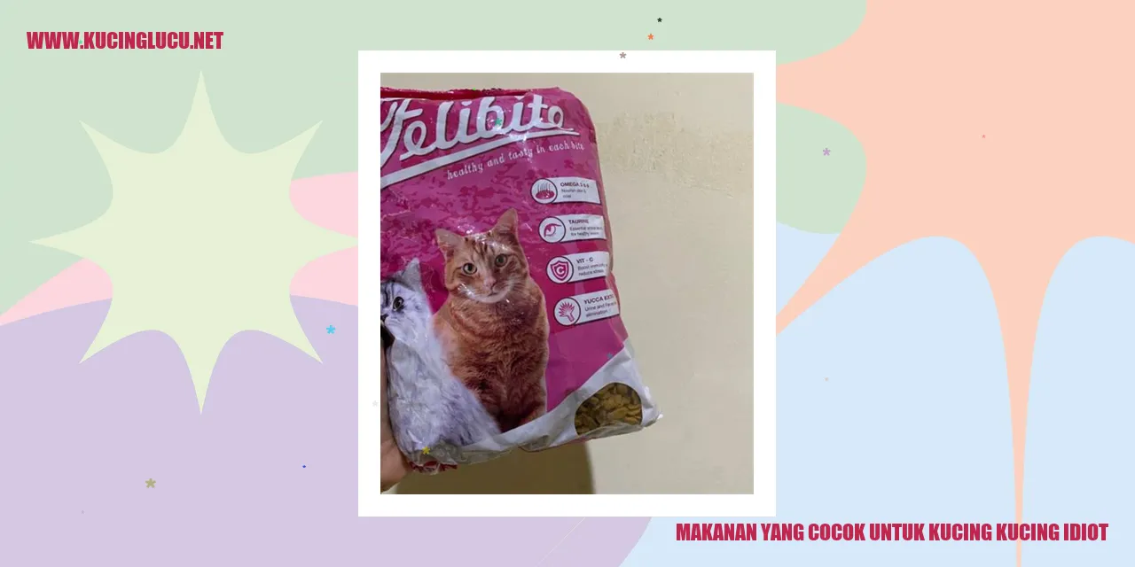 Kucing makanan