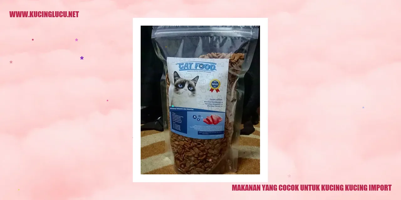 Makanan yang cocok untuk kucing import
