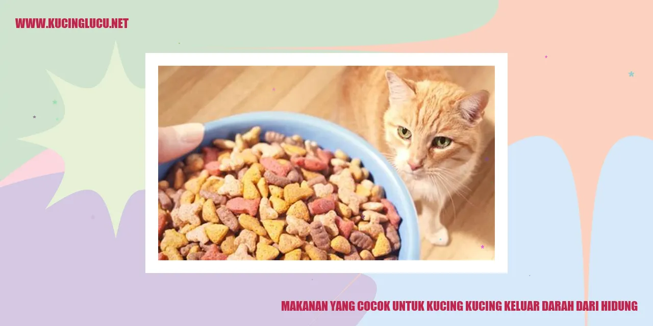 Gambar Kucing