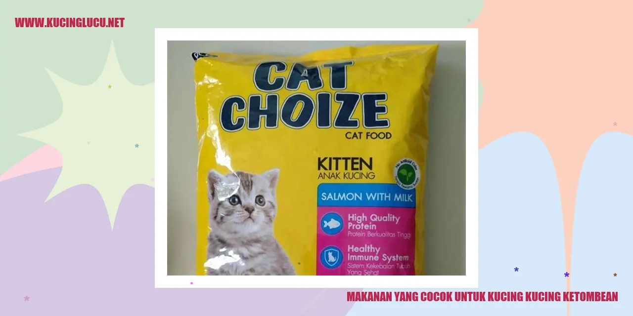 Makanan yang Cocok untuk Kucing Ketombean