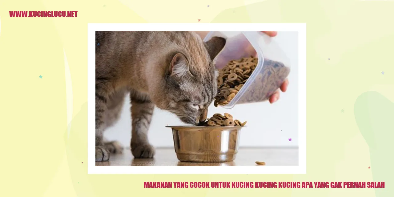 Ilustrasi Makanan untuk Kucing