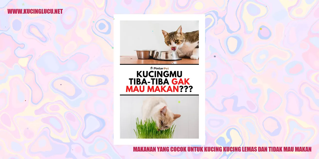 Makanan untuk Kucing
