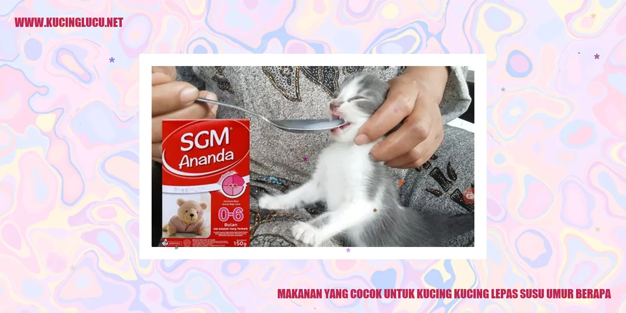 Makanan yang Cocok untuk Kucing yang Lepas Susu