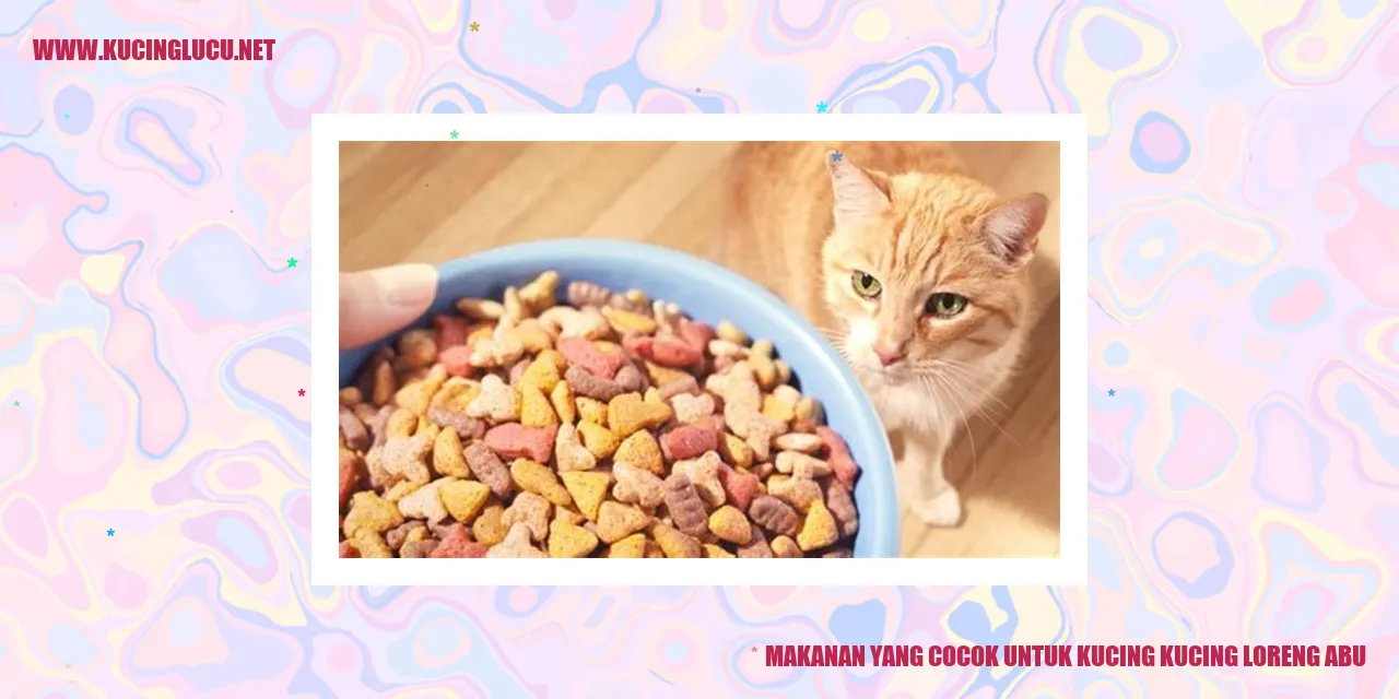 Gambar kucing loreng abu