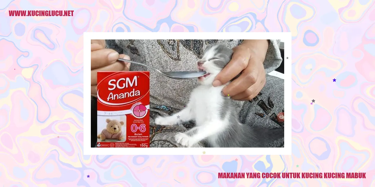 Makanan yang Cocok untuk Kucing yang Sedang Mabuk