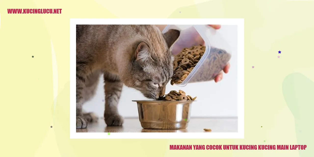 gambar kucing