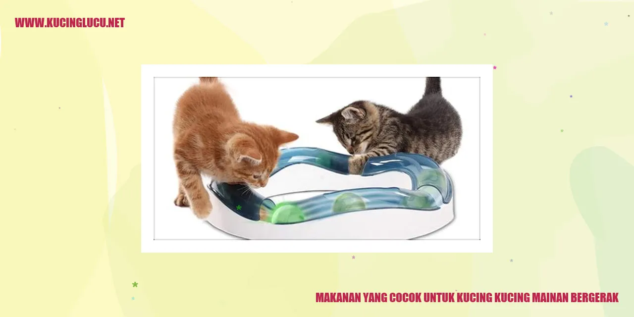 Gambar Makanan Kucing