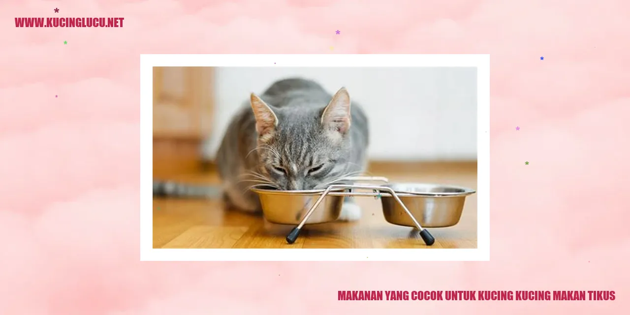 Gambar kucing makan tikus