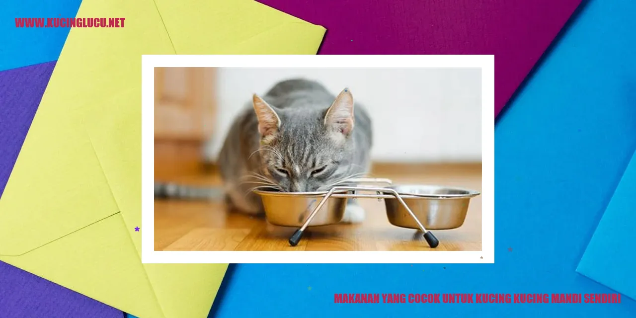 makanan kucing