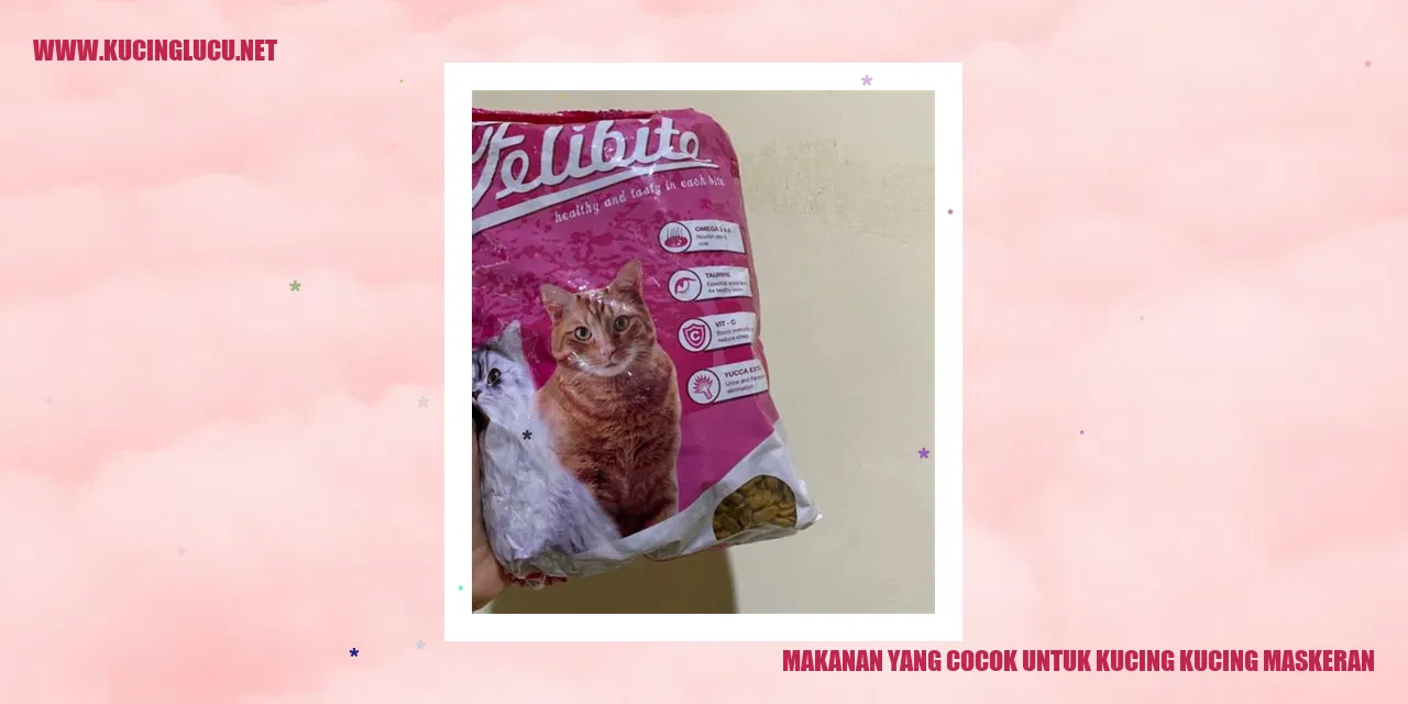 Ilustrasi Kucing Maskeran