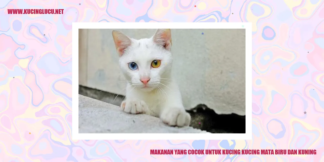 Gambar Kucing Mata Biru dan Kuning