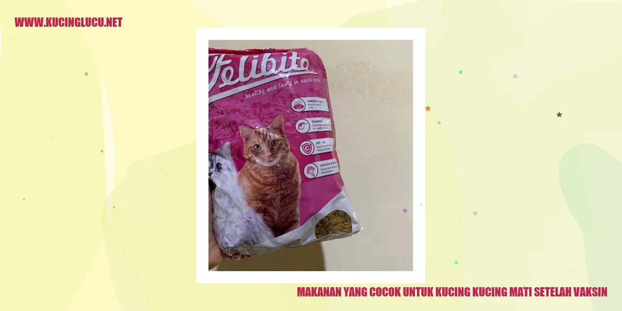 Gambar Kucing Makanan