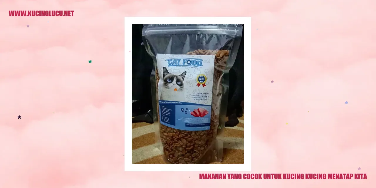 Gambar Kucing