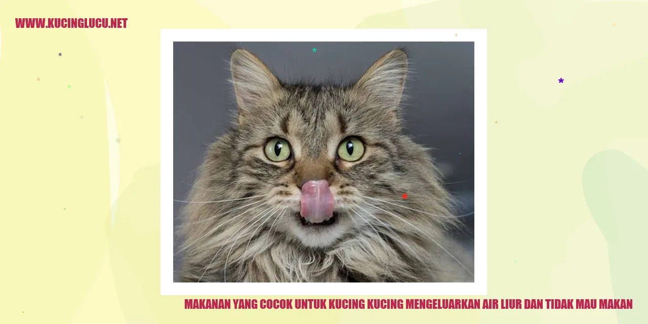 gambar makanan kucing