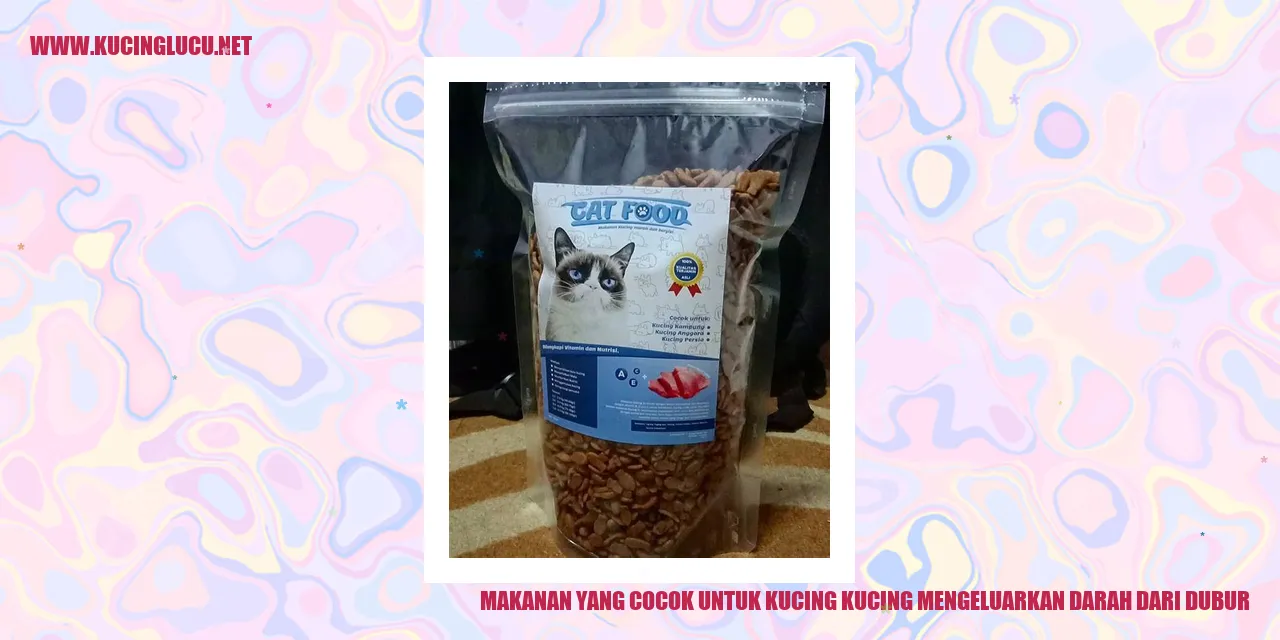 gambar kucing