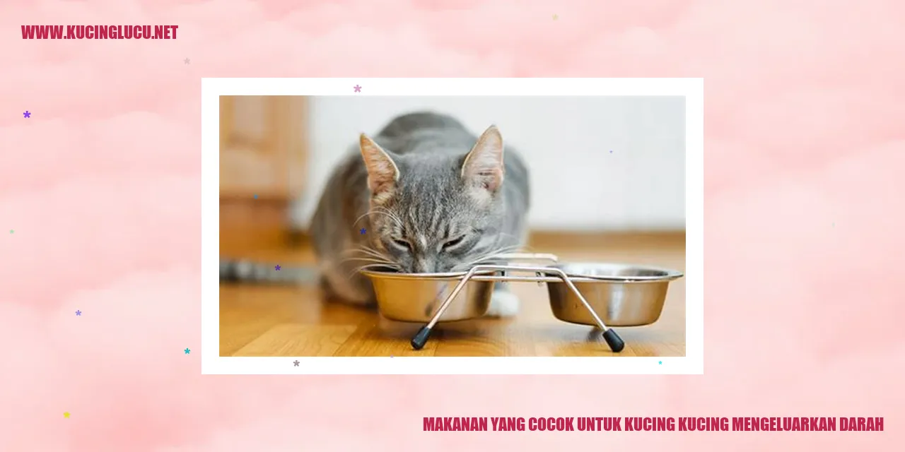 Makanan yang Cocok untuk Kucing yang Mengalami Perdarahan