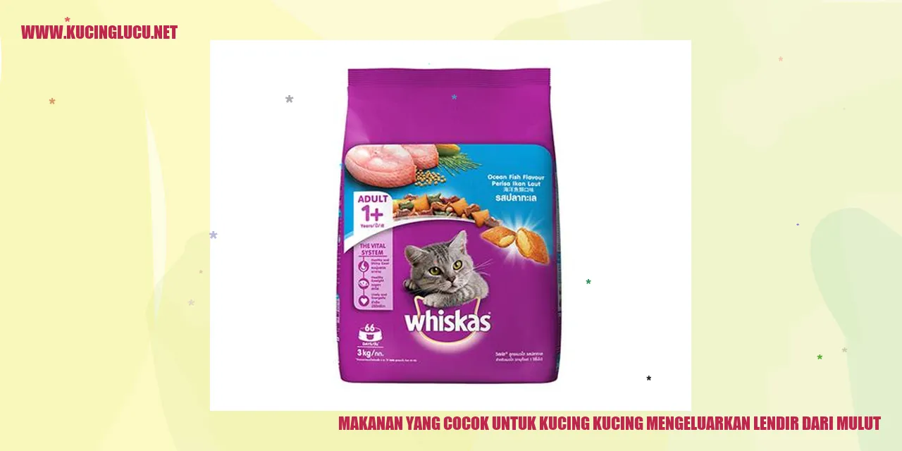 Kucing