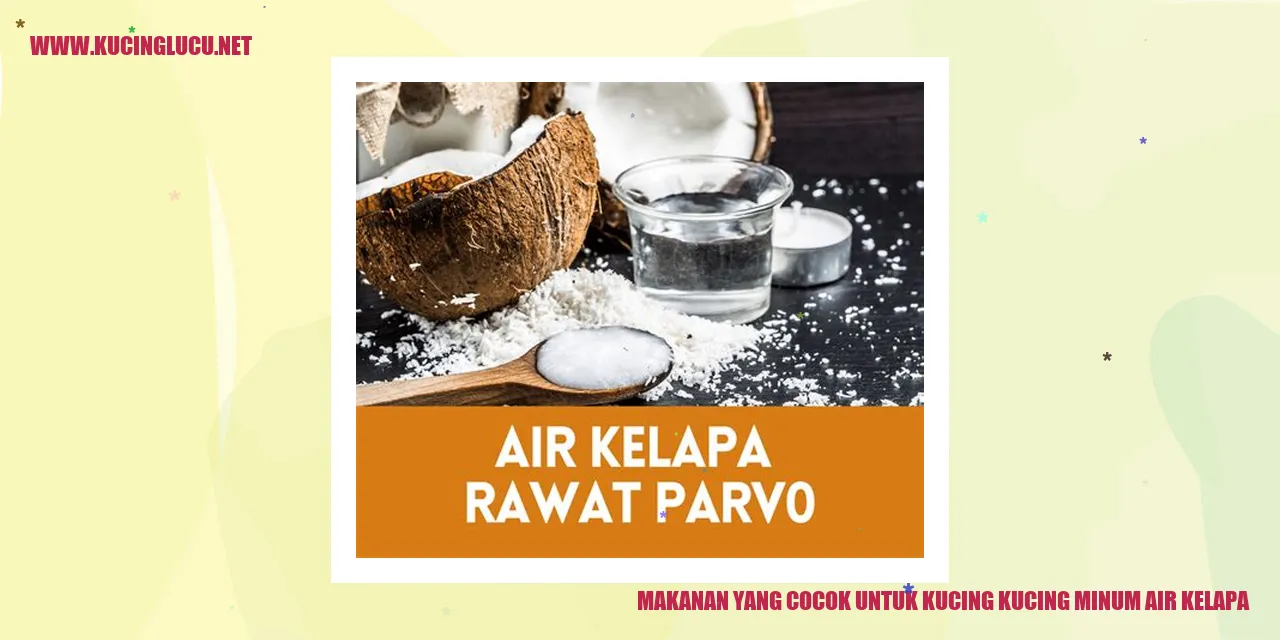 Makanan yang Cocok untuk Kucing