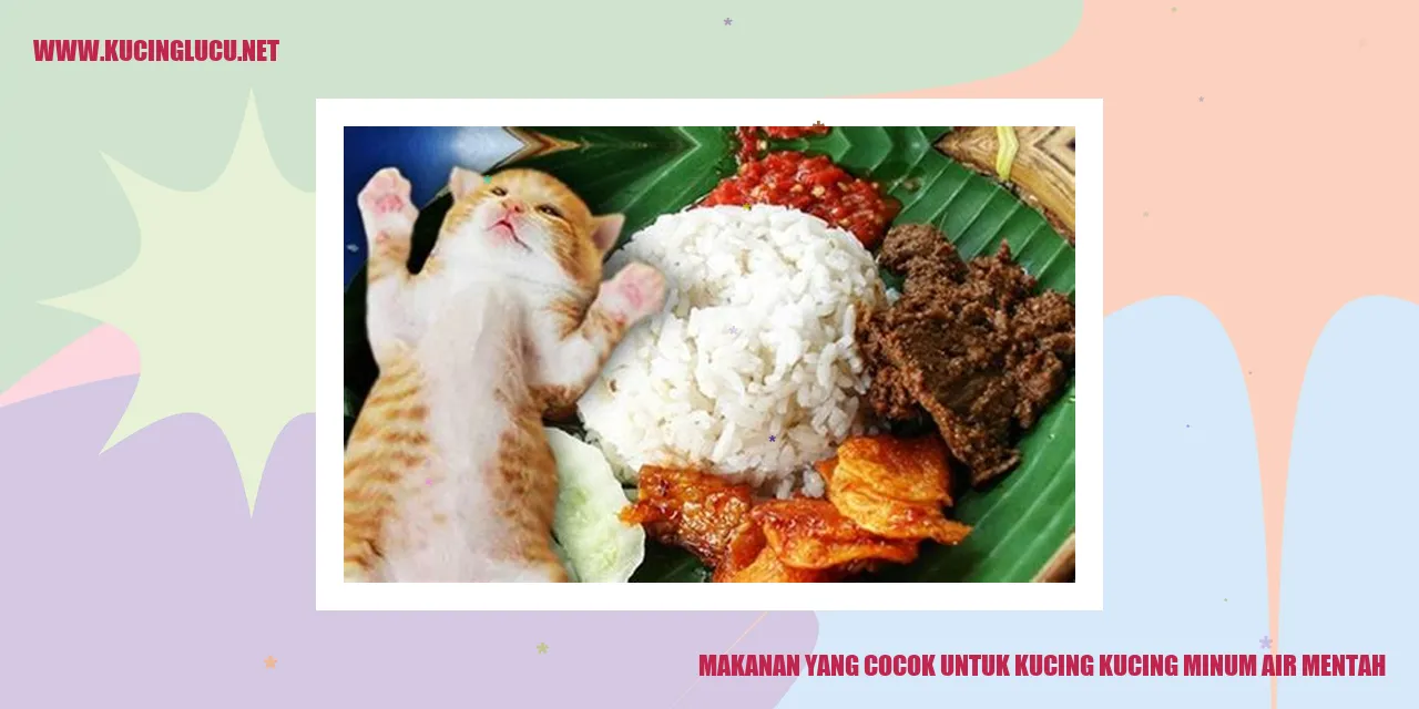 Makanan yang Cocok untuk Kucing kucing minum air mentah