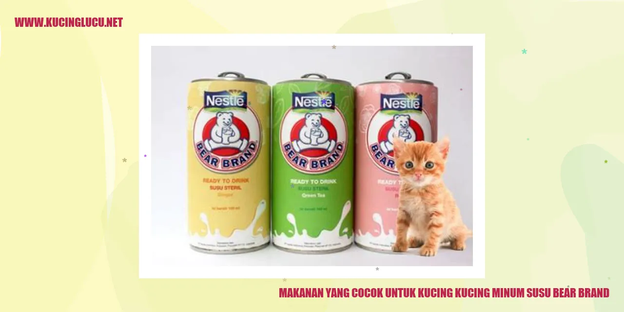 kucing dan susu bear brand