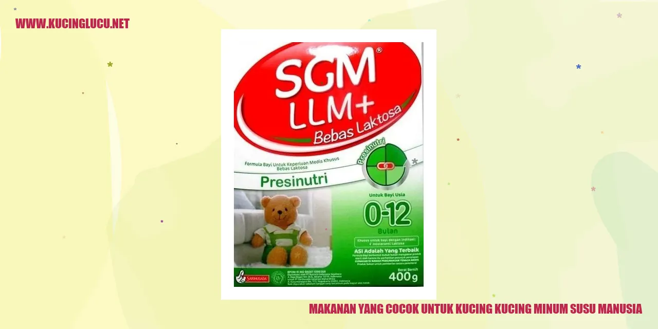 Kucing Minum Susu Manusia