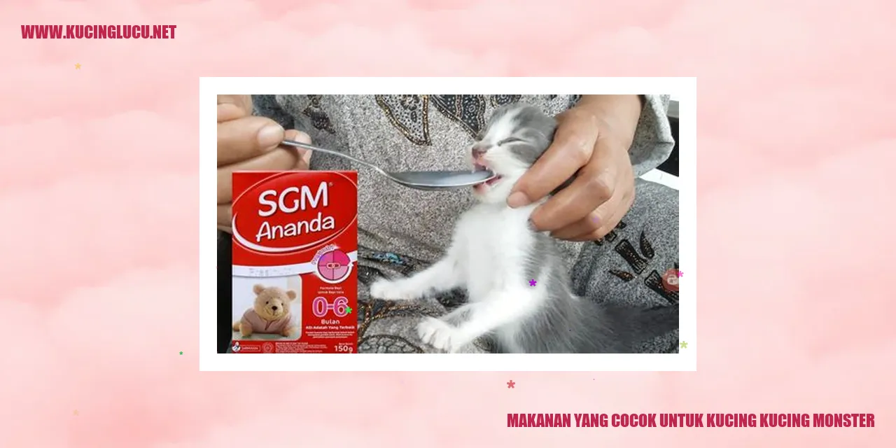 Gambar kucing monster makanan