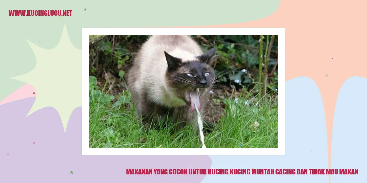 Gambar Kucing dan Makanan