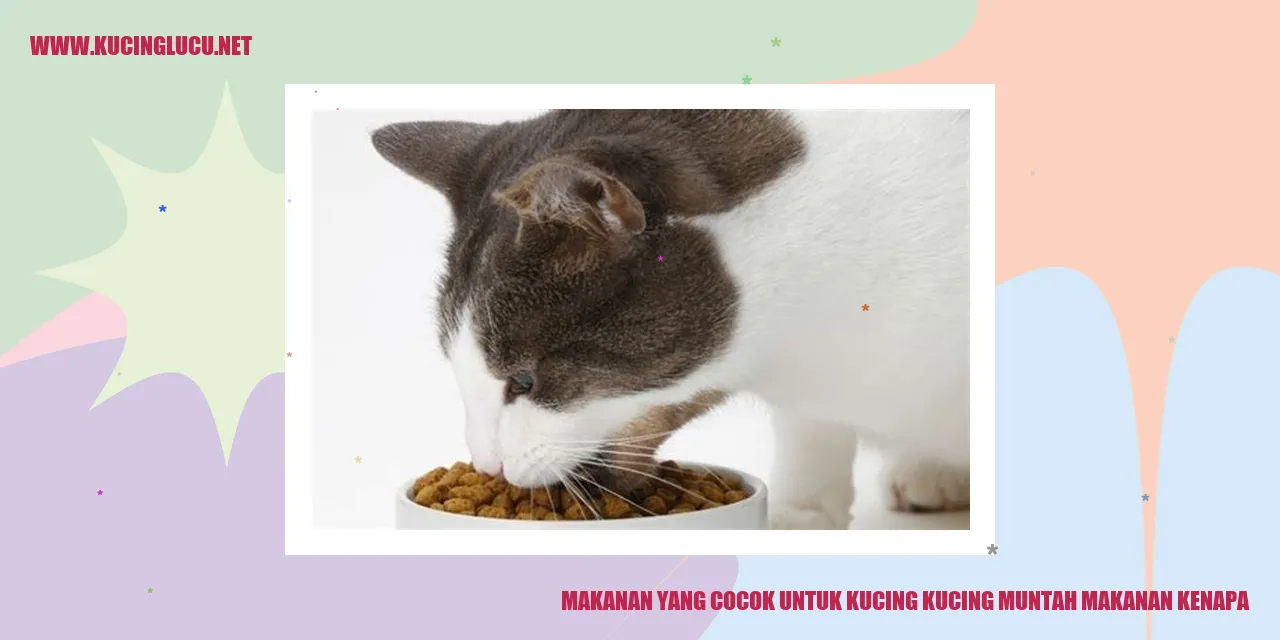 Makanan yang Cocok untuk Kucing yang Muntah