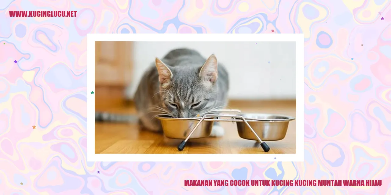 Makanan untuk Kucing yang Muntah Warna Hijau