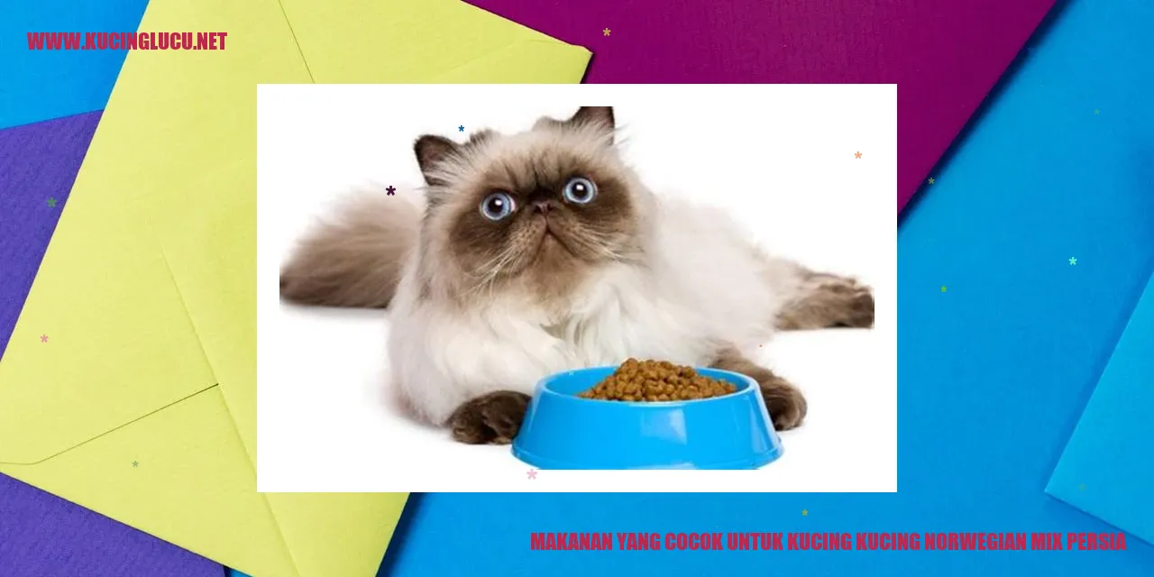 Makanan yang Cocok untuk Kucing Norwegian Mix Persia
