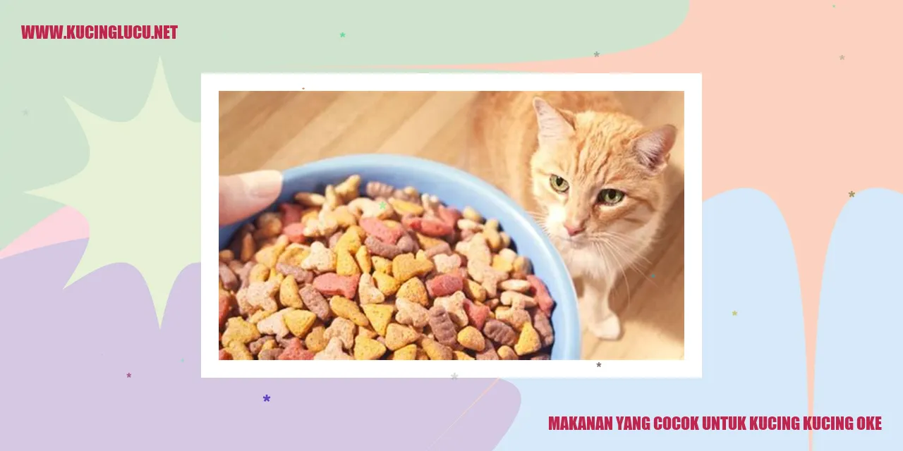 Makanan yang Cocok untuk Kucing